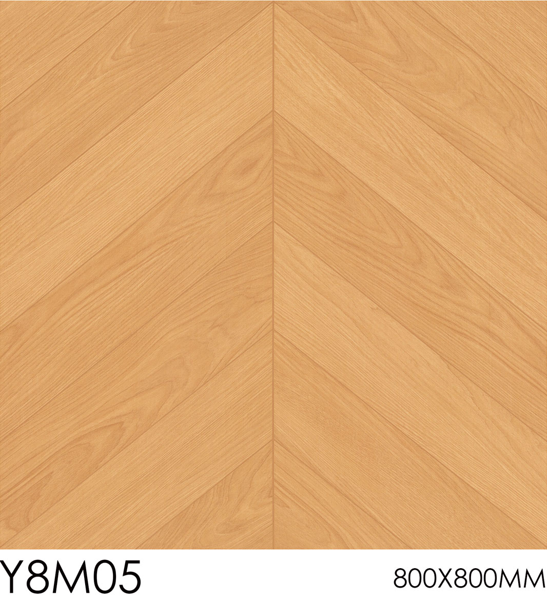 Y8M05