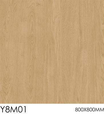 Y8M01
