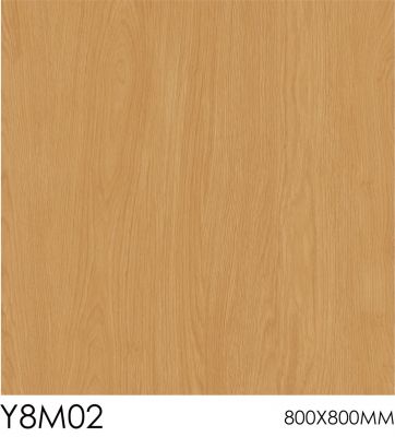 Y8M02