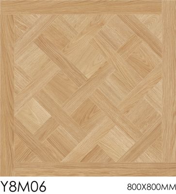 Y8M06