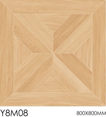 Y8M08